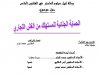 رسالة لنيل دبلوم الماستر في القانون الخاص حول موضوع:  الحماية الجنائية للمستهلك من الغش التجاري